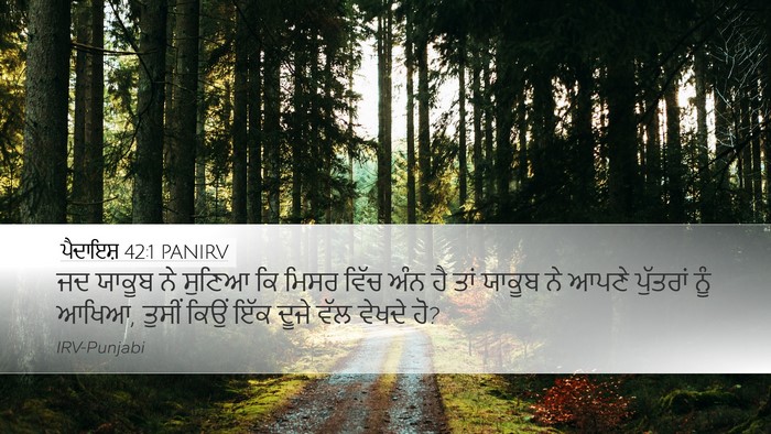 ਪੈਦਾਇਸ਼ 42:1 PANIRV Desktop Wallpaper - ਜਦ ਯਾਕੂਬ ਨੇ ਸੁਣਿਆ - Desktop Bible Verse Wallpaper
