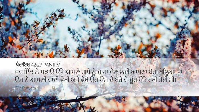 ਪੈਦਾਇਸ਼ 42:27 PANIRV Bible Verse Image