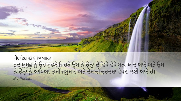 ਪੈਦਾਇਸ਼ 42:9 PANIRV Bible Verse Image