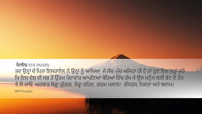 ਪੈਦਾਇਸ਼ 43:11 PANIRV Bible Verse Image