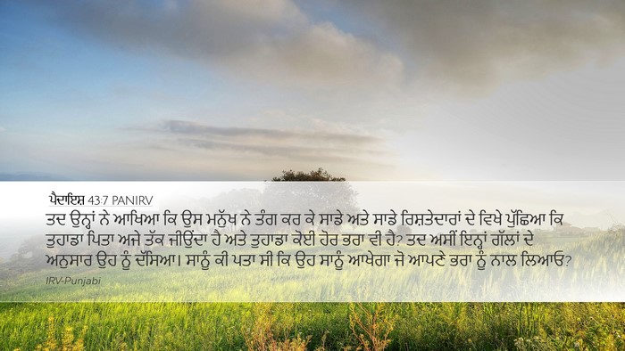 ਪੈਦਾਇਸ਼ 43:7 PANIRV Bible Verse Image