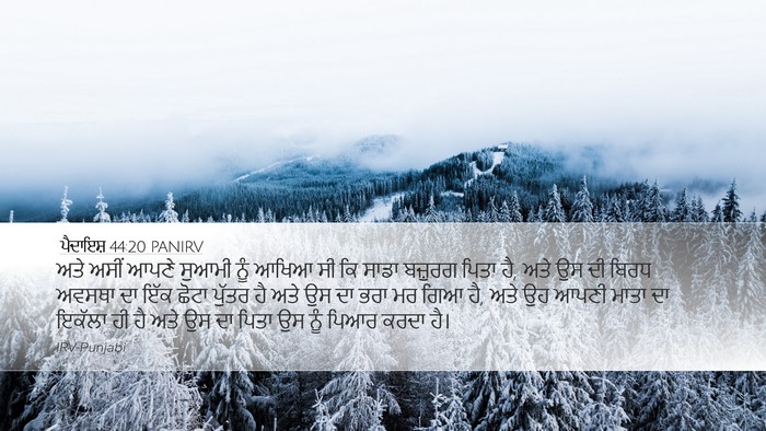 ਪੈਦਾਇਸ਼ 44:20 PANIRV Bible Verse Image