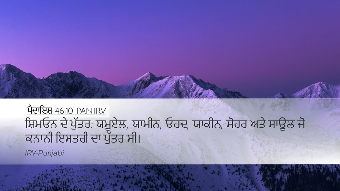 ਪੈਦਾਇਸ਼ 46:10 PANIRV Bible Verse Image