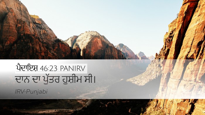 ਪੈਦਾਇਸ਼ 46:23 PANIRV Bible Verse Image