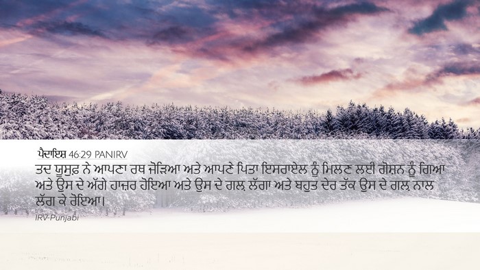 ਪੈਦਾਇਸ਼ 46:29 PANIRV Bible Verse Image