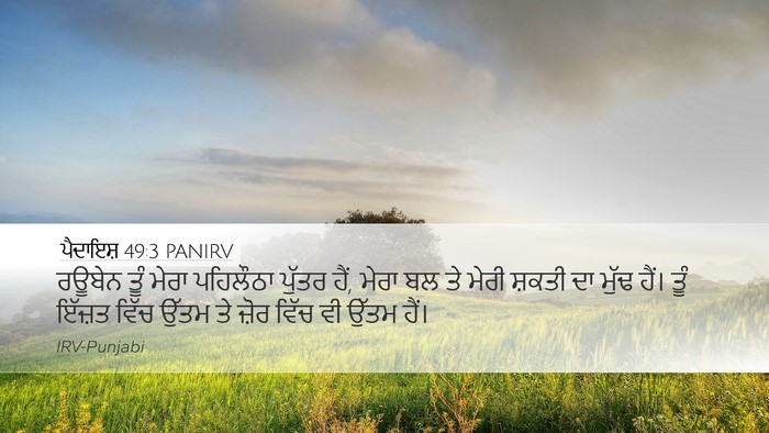 ਪੈਦਾਇਸ਼ 49:3 PANIRV Bible Verse Image