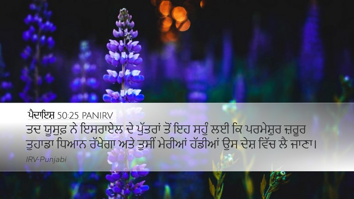 ਪੈਦਾਇਸ਼ 50:25 PANIRV Bible Verse Image