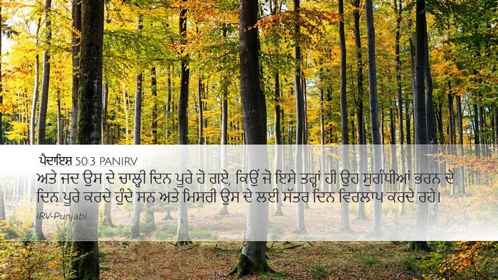 ਪੈਦਾਇਸ਼ 50:3 PANIRV Bible Verse Image