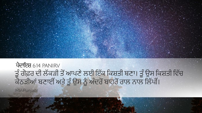 ਪੈਦਾਇਸ਼ 6:14 PANIRV Bible Verse Image