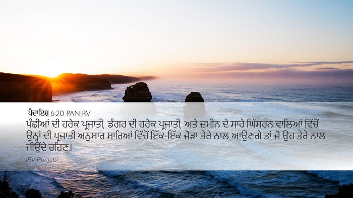 ਪੈਦਾਇਸ਼ 6:20 PANIRV Bible Verse Image