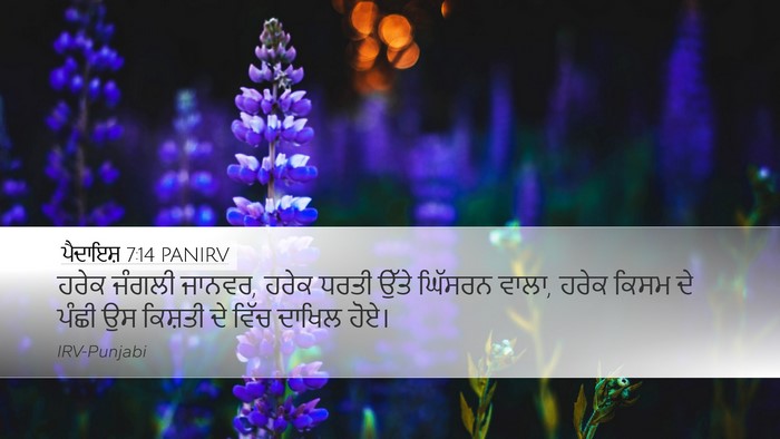 ਪੈਦਾਇਸ਼ 7:14 PANIRV Bible Verse Image