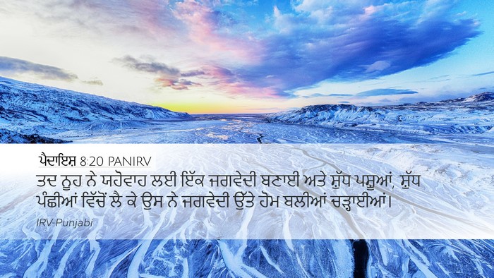 ਪੈਦਾਇਸ਼ 8:20 PANIRV Bible Verse Image