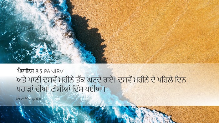 ਪੈਦਾਇਸ਼ 8:5 PANIRV Bible Verse Image