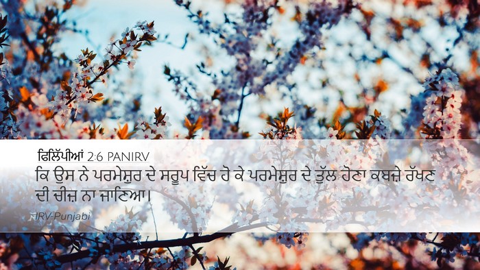 ਫਿਲਿੱਪੀਆਂ 2:6 PANIRV Bible Verse Image