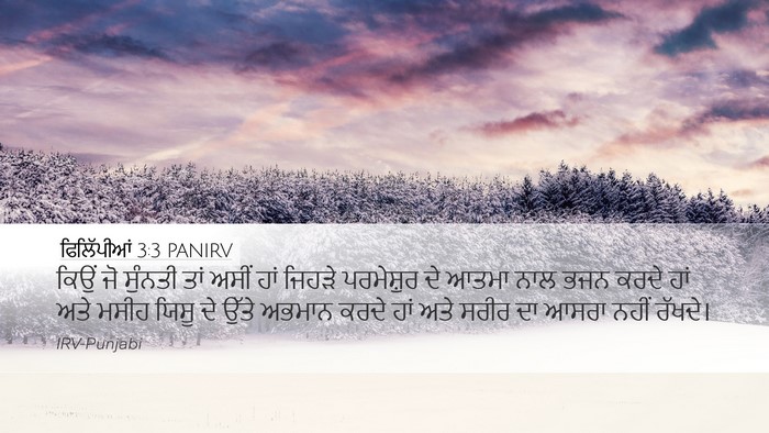 ਫਿਲਿੱਪੀਆਂ 3:3 PANIRV Bible Verse Image