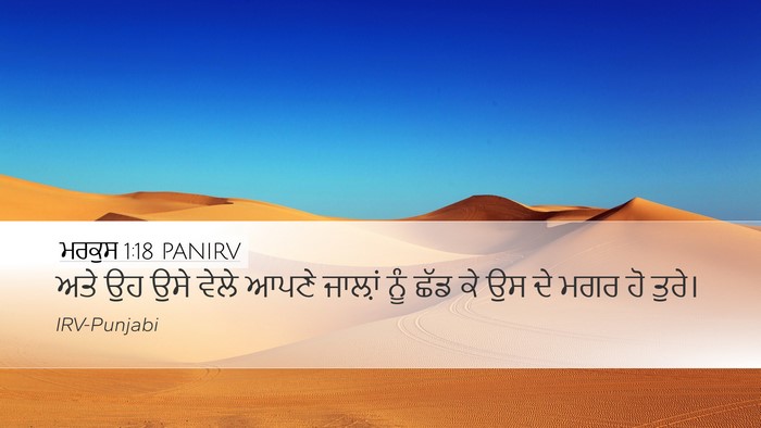 ਮਰਕੁਸ 1:18 PANIRV Bible Verse Image