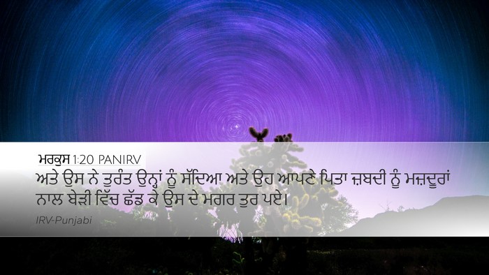ਮਰਕੁਸ 1:20 PANIRV Bible Verse Image