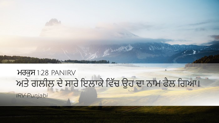 ਮਰਕੁਸ 1:28 PANIRV Bible Verse Image