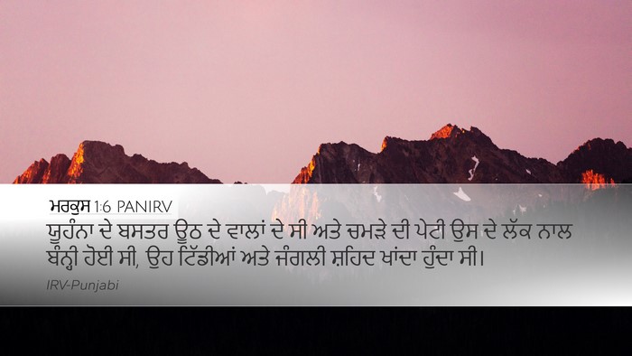 ਮਰਕੁਸ 1:6 PANIRV Bible Verse Image