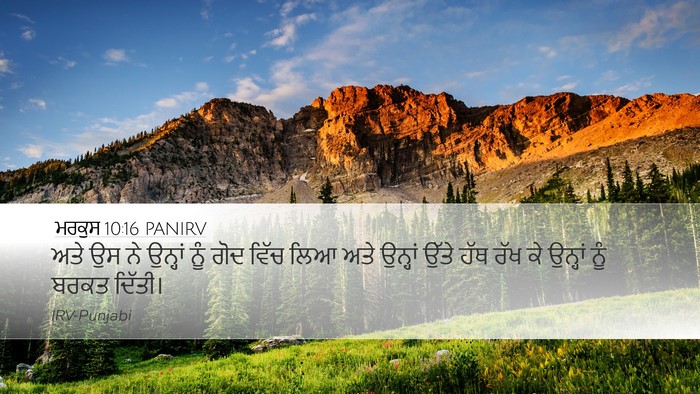 ਮਰਕੁਸ 10:16 PANIRV Bible Verse Image