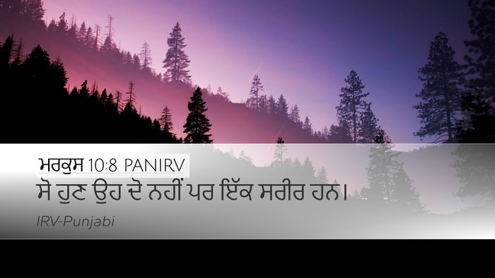 ਮਰਕੁਸ 10:8 PANIRV Desktop Wallpaper - ਸੋ ਹੁਣ ਉਹ ਦੋ ਨਹੀਂ - Desktop Bible Verse Wallpaper