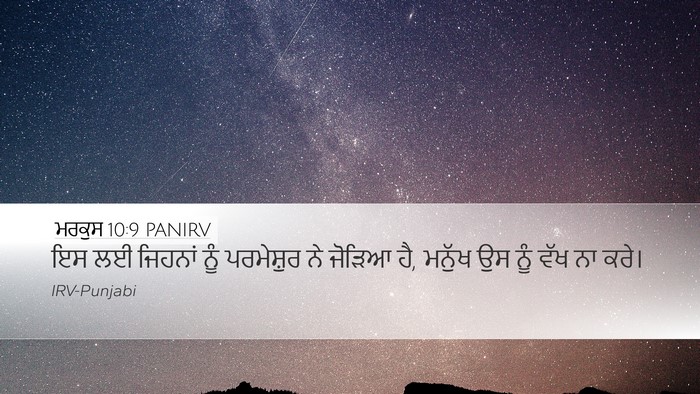 ਮਰਕੁਸ 10:9 PANIRV Bible Verse Image