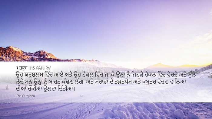 ਮਰਕੁਸ 11:15 PANIRV Bible Verse Image