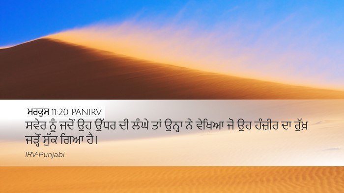 ਮਰਕੁਸ 11:20 PANIRV Bible Verse Image