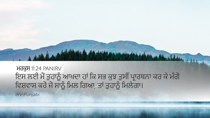 ਮਰਕੁਸ 11:24 PANIRV Bible Verse Image