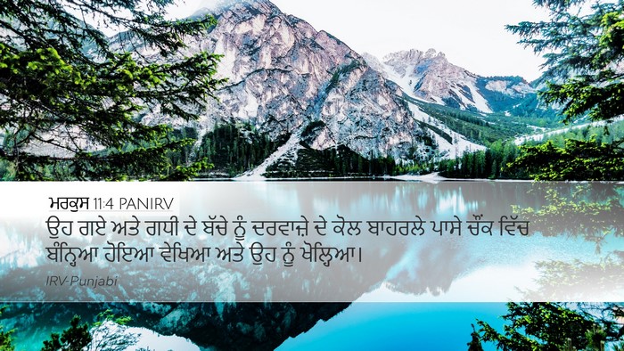 ਮਰਕੁਸ 11:4 PANIRV Desktop Wallpaper - ਉਹ ਗਏ ਅਤੇ ਗਧੀ ਦੇ - Desktop Bible Verse Wallpaper