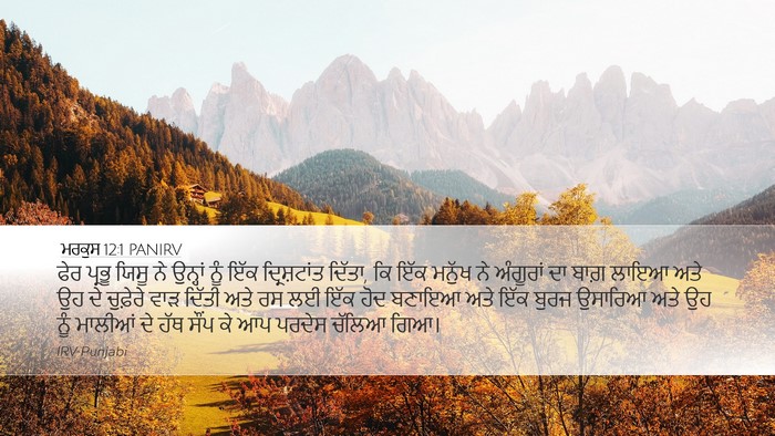 ਮਰਕੁਸ 12:1 PANIRV Bible Verse Image