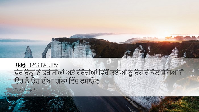 ਮਰਕੁਸ 12:13 PANIRV Bible Verse Image