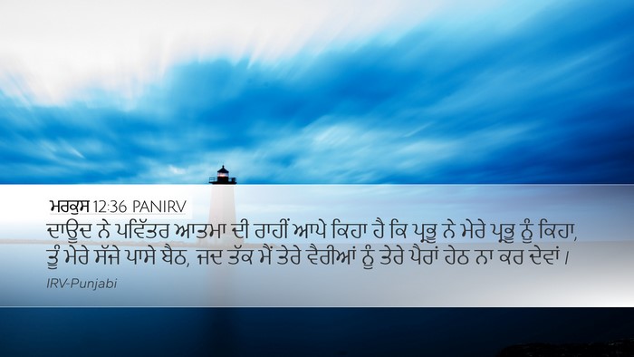 ਮਰਕੁਸ 12:36 PANIRV Bible Verse Image