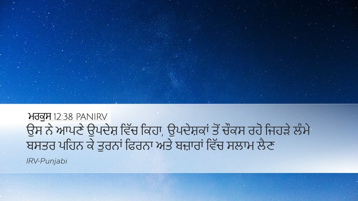 ਮਰਕੁਸ 12:38 PANIRV Bible Verse Image