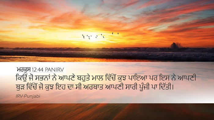 ਮਰਕੁਸ 12:44 PANIRV Bible Verse Image