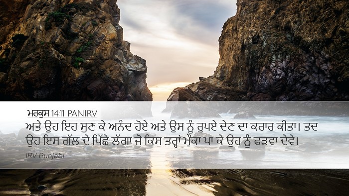 ਮਰਕੁਸ 14:11 PANIRV Bible Verse Image