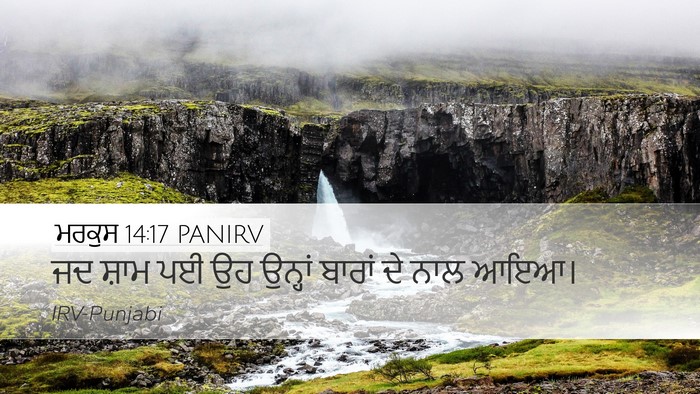 ਮਰਕੁਸ 14:17 PANIRV Bible Verse Image