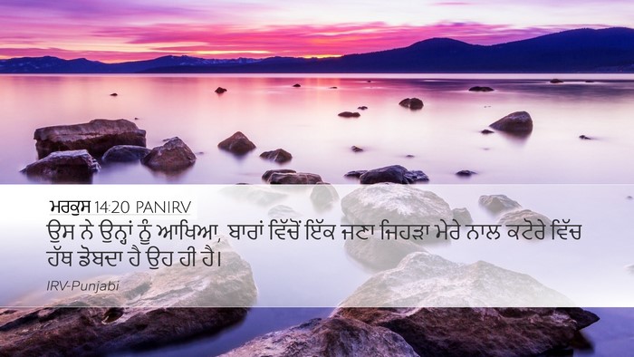 ਮਰਕੁਸ 14:20 PANIRV Bible Verse Image