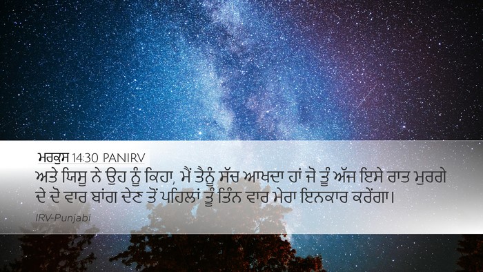 ਮਰਕੁਸ 14:30 PANIRV Bible Verse Image
