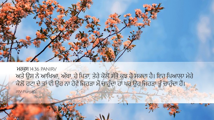 ਮਰਕੁਸ 14:36 PANIRV Bible Verse Image