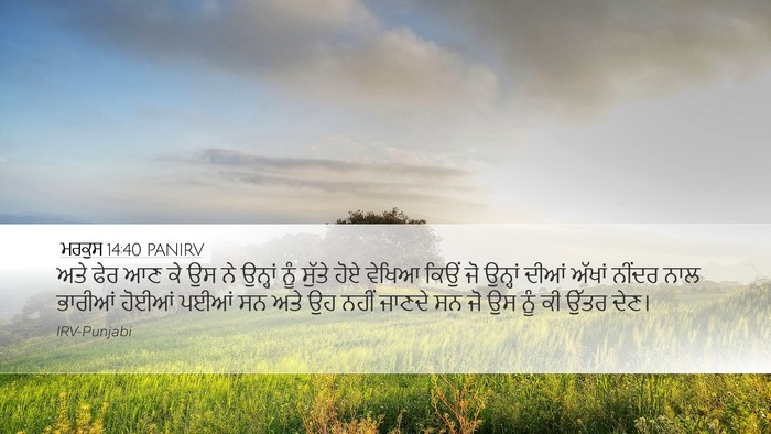ਮਰਕੁਸ 14:40 PANIRV Bible Verse Image