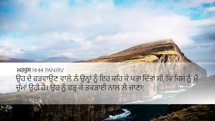 ਮਰਕੁਸ 14:44 PANIRV Bible Verse Image