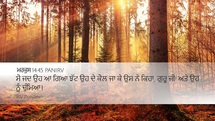 ਮਰਕੁਸ 14:45 PANIRV Bible Verse Image