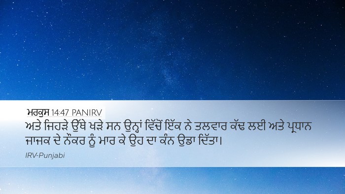ਮਰਕੁਸ 14:47 PANIRV Bible Verse Image