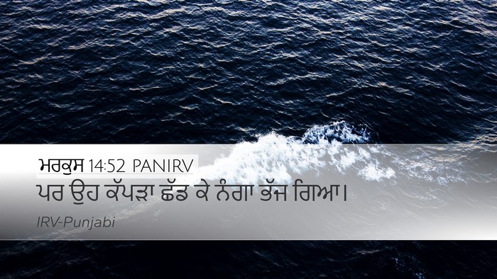 ਮਰਕੁਸ 14:52 PANIRV Desktop Wallpaper - ਪਰ ਉਹ ਕੱਪੜਾ ਛੱਡ ਕੇ - Desktop Bible Verse Wallpaper