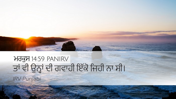 ਮਰਕੁਸ 14:59 PANIRV Desktop Wallpaper - ਤਾਂ ਵੀ ਉਨ੍ਹਾਂ ਦੀ - Desktop Bible Verse Wallpaper