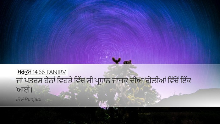 ਮਰਕੁਸ 14:66 PANIRV Bible Verse Image