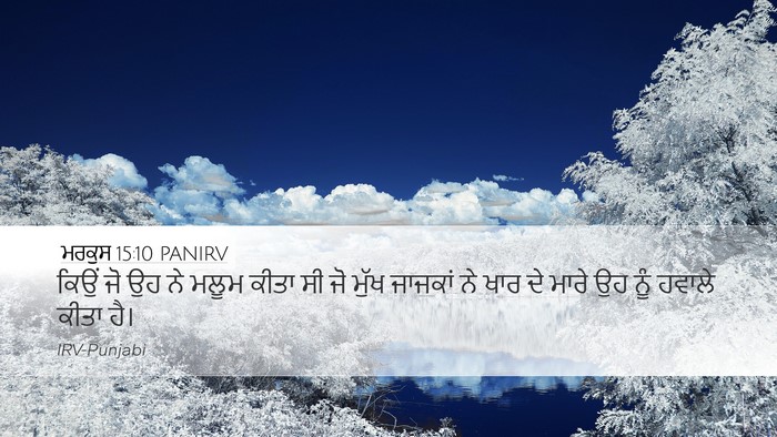 ਮਰਕੁਸ 15:10 PANIRV Bible Verse Image