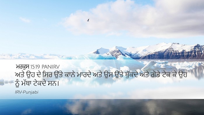 ਮਰਕੁਸ 15:19 PANIRV Bible Verse Image
