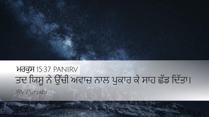 ਮਰਕੁਸ 15:37 PANIRV Bible Verse Image